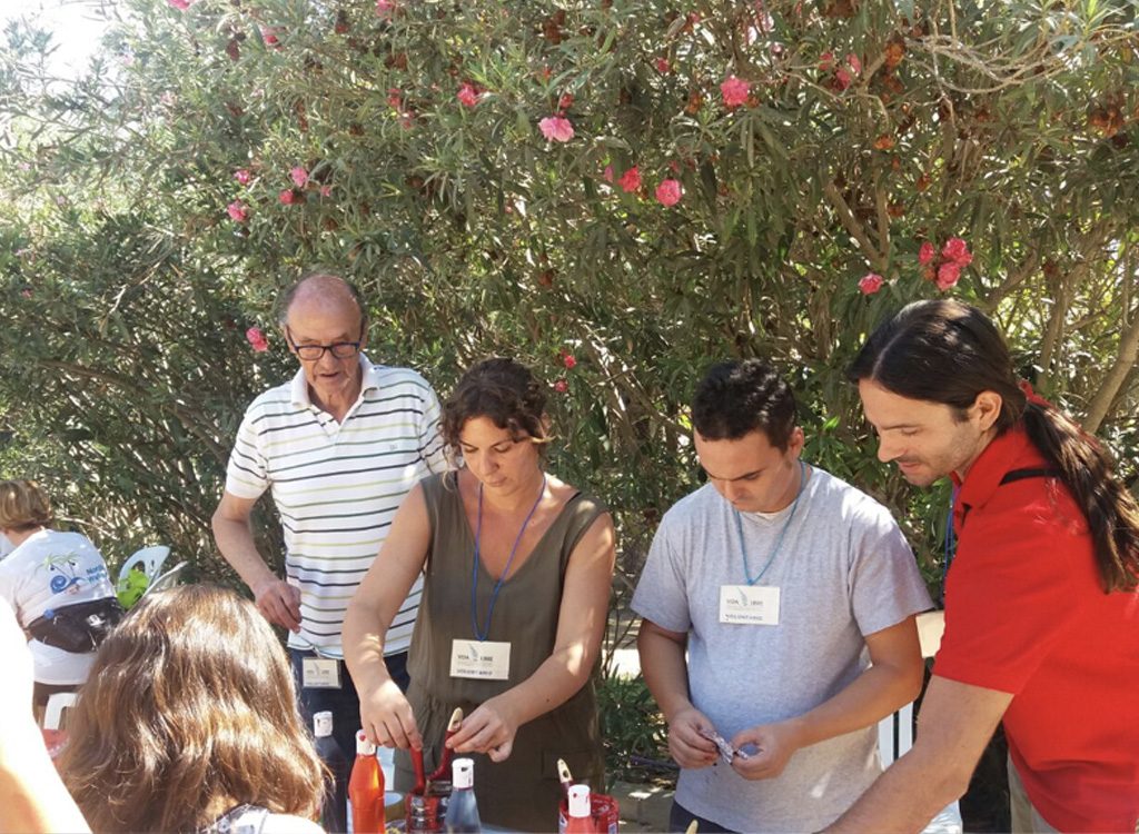 Proyecto Vive el MARQ - Asociación Vida Libre
